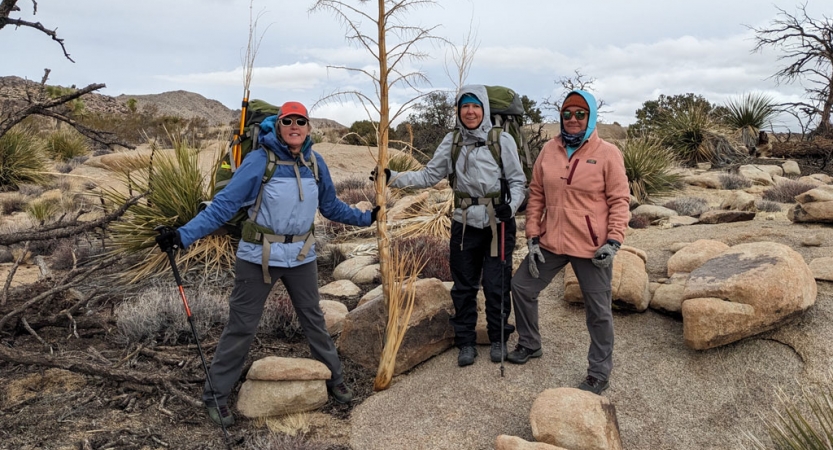 Three people hold up a dead tree during a service project